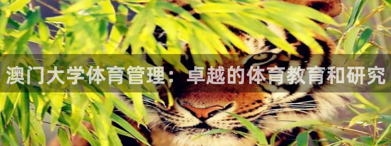 必一体育下载意思：澳