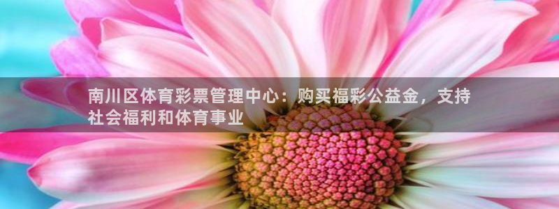 必一体育周公：南川区