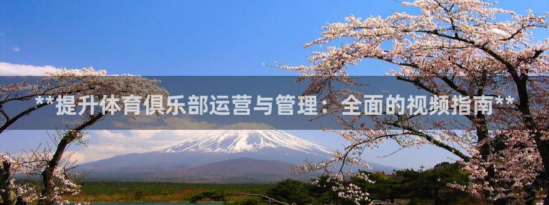 必一体育在线官网：*