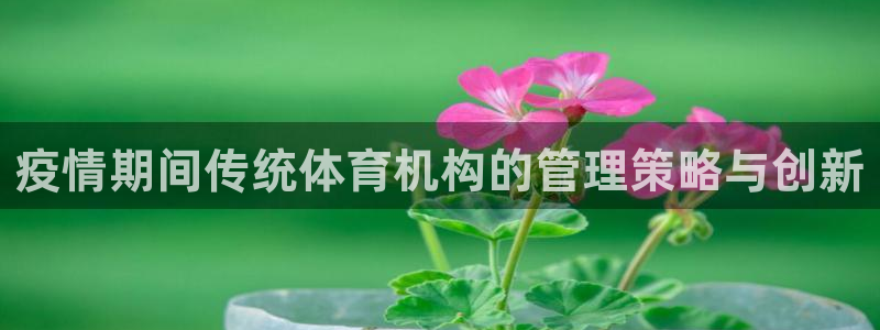 必一体育app下载最