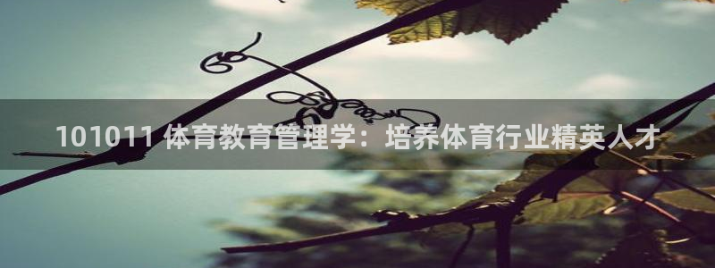 必一体育sport官