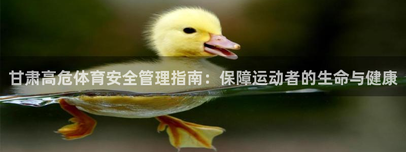 必一体育下载登入：甘