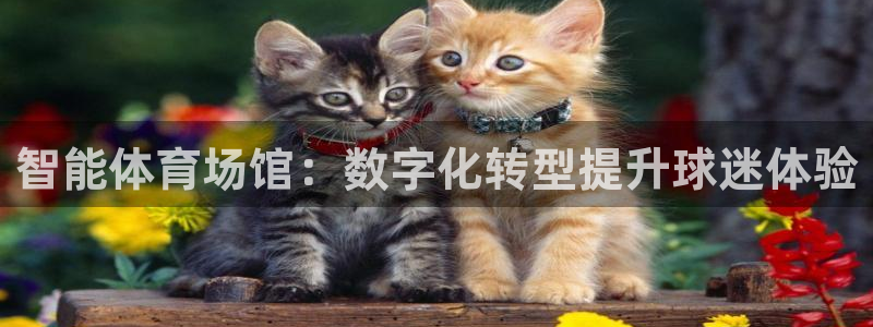 必一体育APP：智能