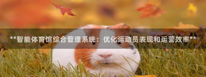 必一运动官网入口：*