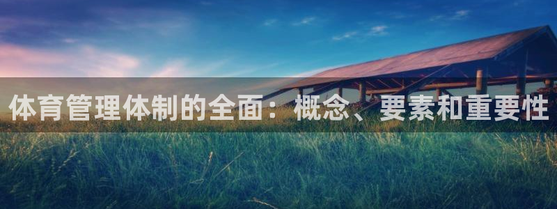 必一体育运动平台官网