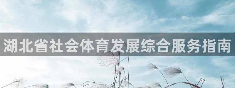 必一体育运动平台官网