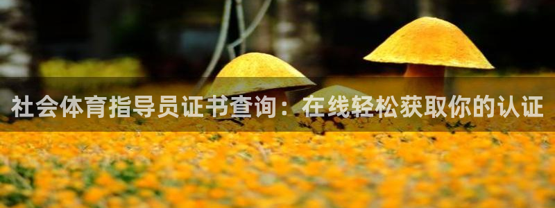 必一体育周公：社会体