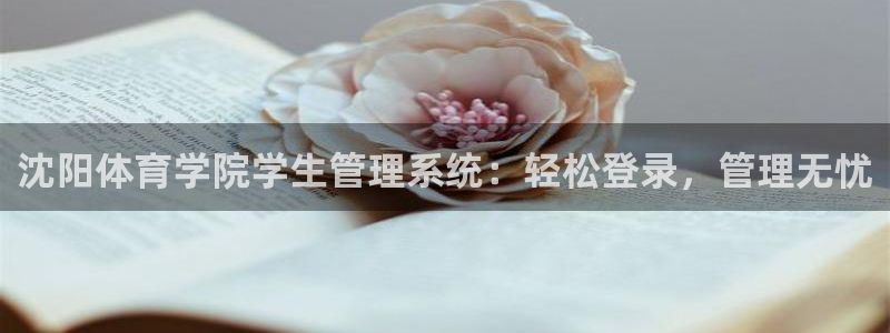 必一体育sport下