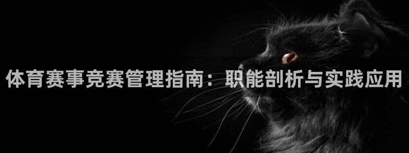 必一运动体：体育赛事