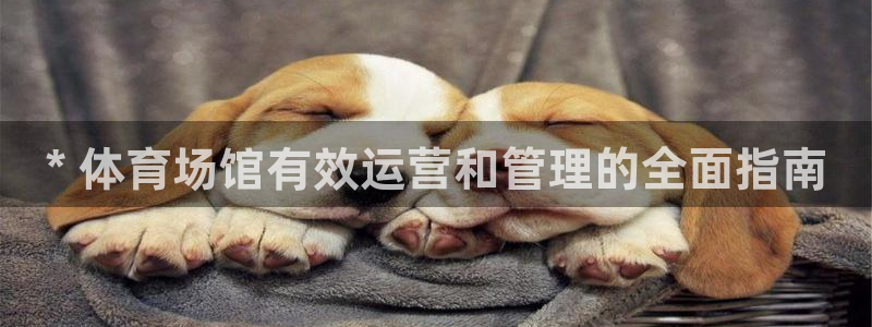 必一体育登入：* 体