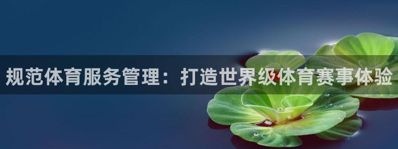 必一运动体：规范体育