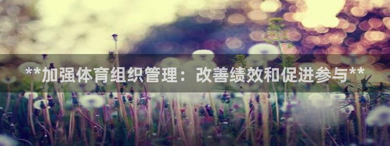 必一体育app下载装