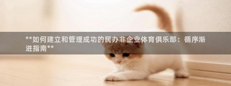 必一体育运动app：