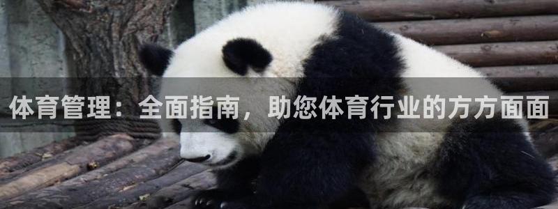 必一体育官网网址：体