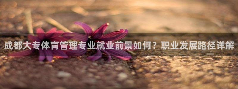 必一体育网站：成都大