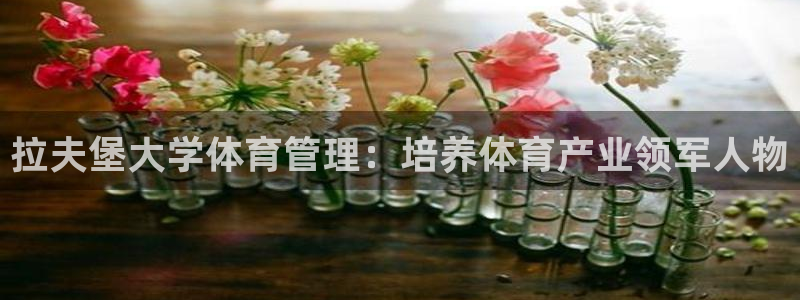 必一体育登录：拉夫堡