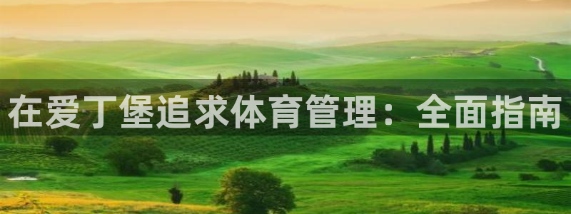 必一体育登录APP下