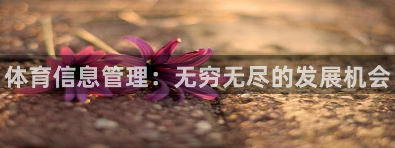 必一体育下载意思：体