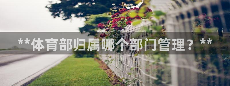 必一体育app下载最