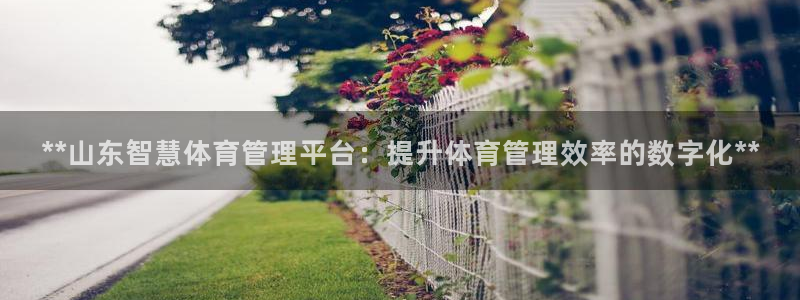 必一体育app下载最