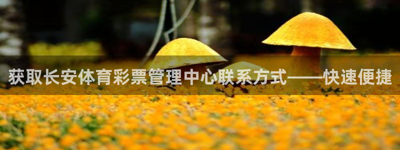 必一运动官网登录入口