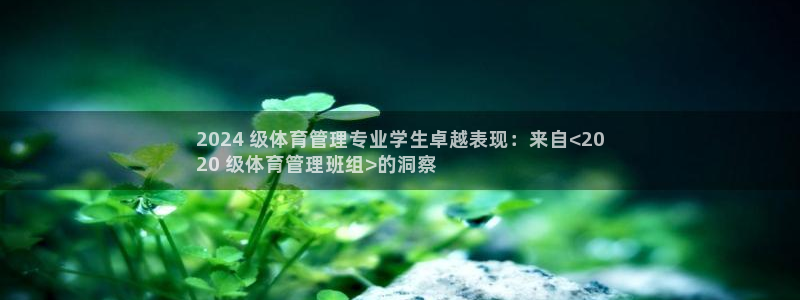 b体育必一运动网页版