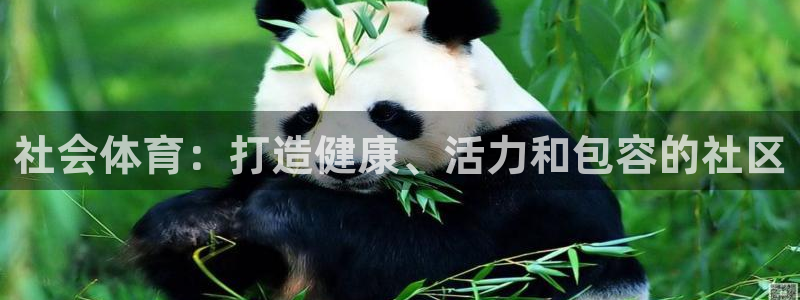 必一体育可靠吗：社会