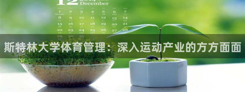 必一体育登录入口：斯