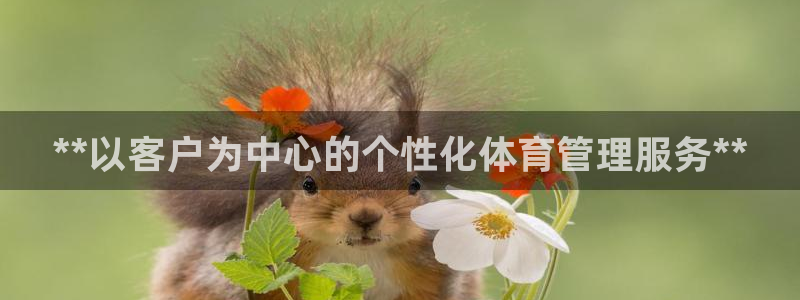 必一运动bsport