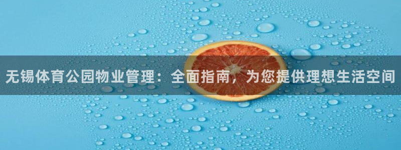 必一体育怎么下载：无锡体育公园物业管理：全面指南，为您提供理