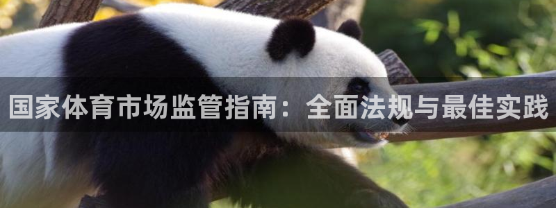 必一体育手机下载：国