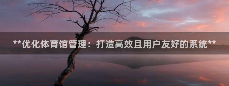 必一体育服下载最新版