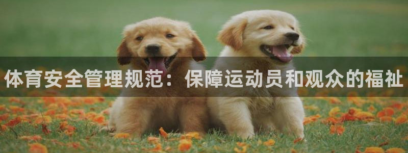 必一体育：体育安全管