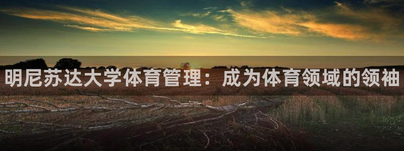 必一运动sport爱