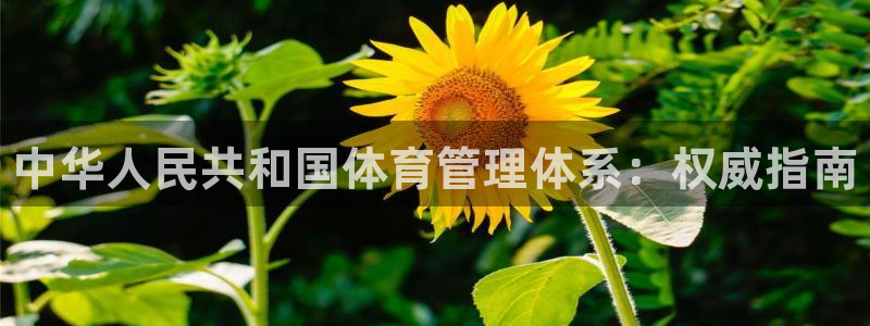 必一体育下载登入：中