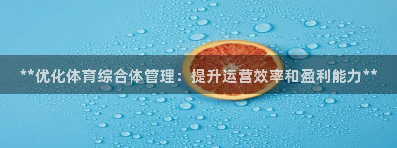 必一体育全站在线登录入口：**优化体育综合体管理：提升运营效
