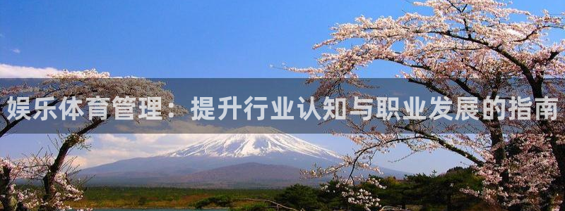 必一体育登录：娱乐体育管理：提升行业认知与职业发展的指南