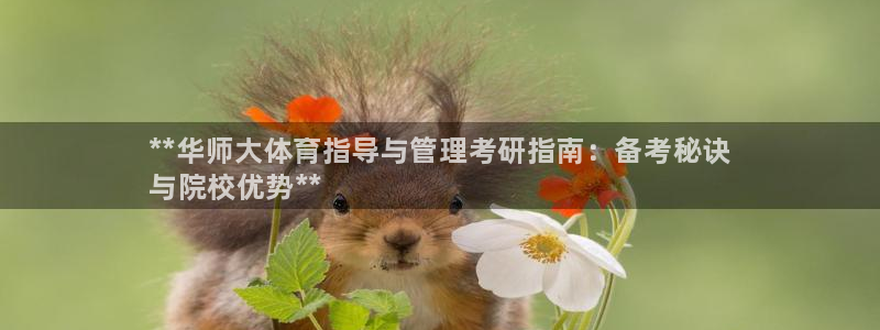 必一体育官方下载：*