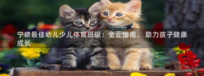 必一运动官网入口：宁