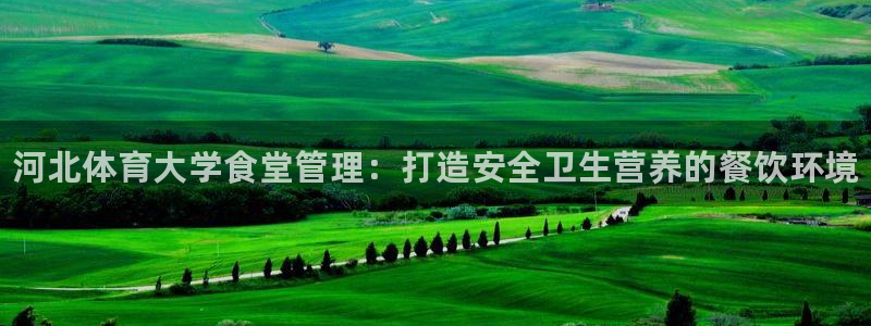 必一体育游戏特色：河