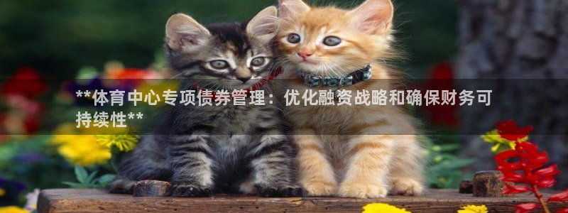 必一运动体育app：**体育中心专项债券管理：优化融资战略和