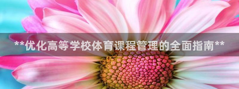 必一体育游戏玩法：*