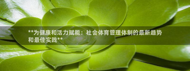 必一体育登入：**为