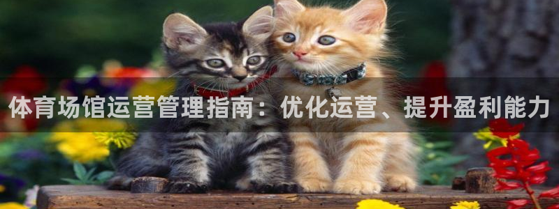 必一体育官网ios下