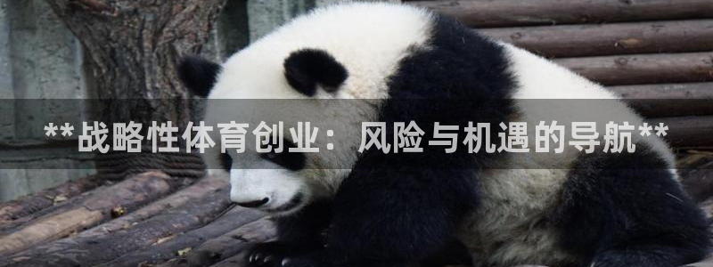 必一体育sport：