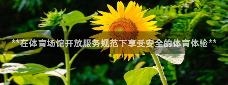 必一体育下载意思：**在体育场馆开放服务规范下享受安全的体育