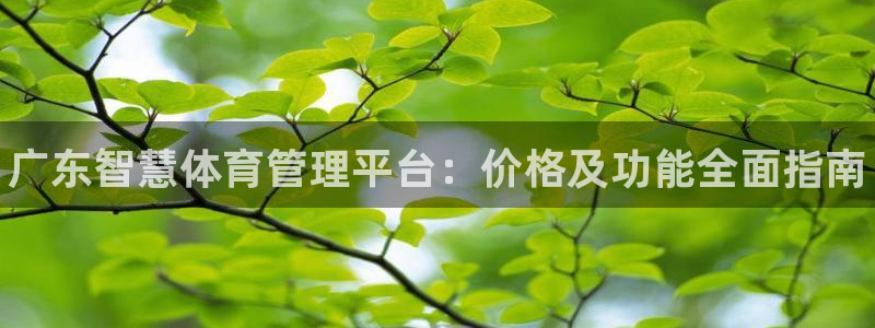 必一体育app平台下载：广东智慧体育管理平台：价格及功能全面