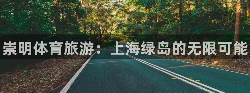 必一体育游戏特色：崇