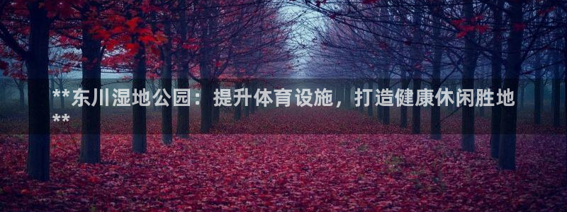 必一体育app官方正