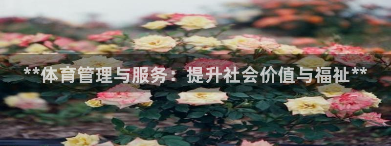 必一运动 b 体育素描版：**体育管理与服务：提升社会价值与